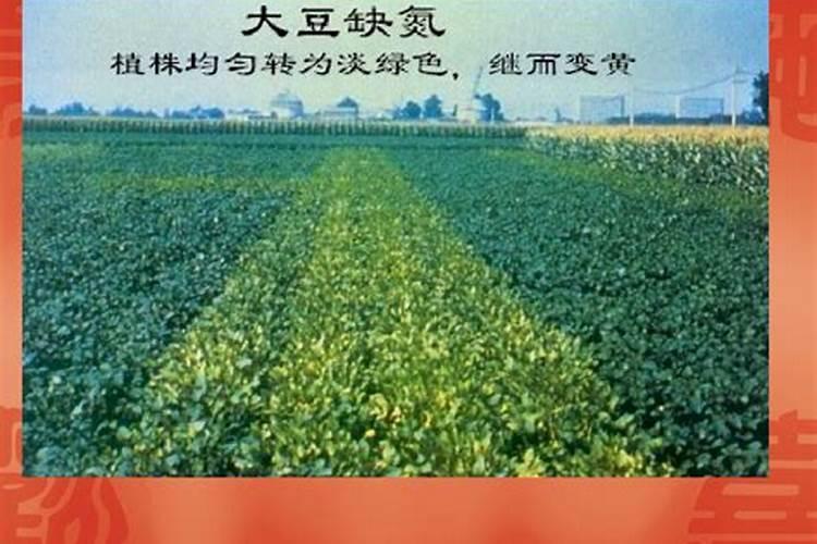 富硒肥料增产的原因？