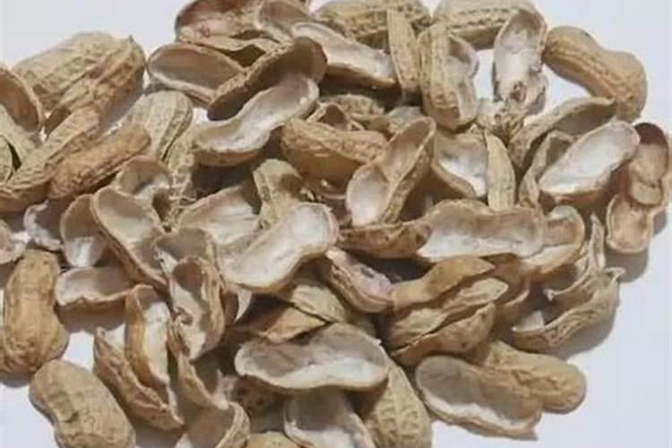 花生壳扔了等于扔钱,用水泡一泡,原来有大作用,一年省下好几百