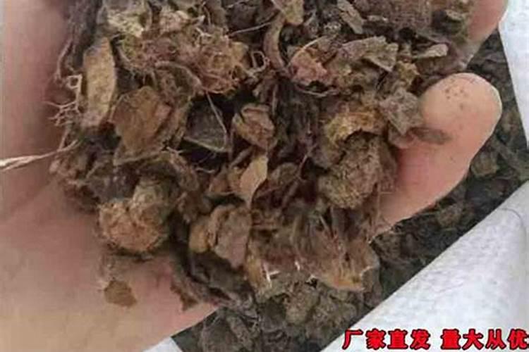 熟花生壳可以做肥料吗