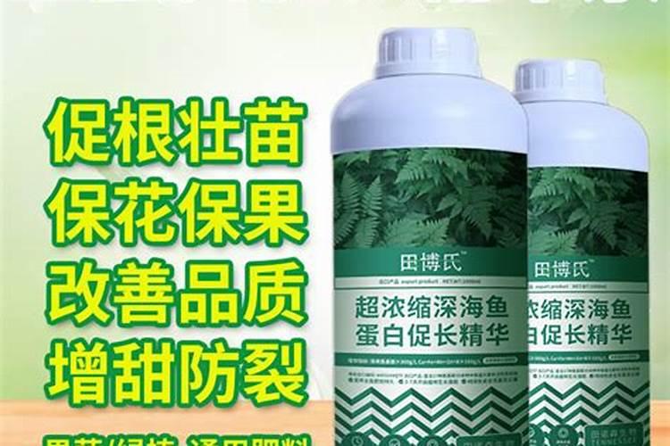 玉米什么时候使用叶面肥？玉米叶面肥喷施浓度