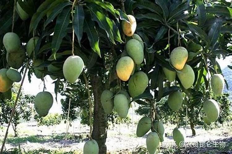 碳酸钠属于盐吗？属于什么盐？