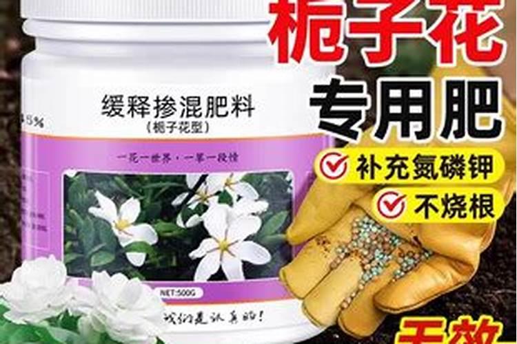 垂丝茉莉和栀子花能用同一种肥料吗