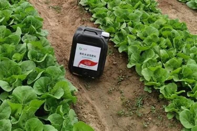 聚谷氨酸复合菌肥和复合肥的区别