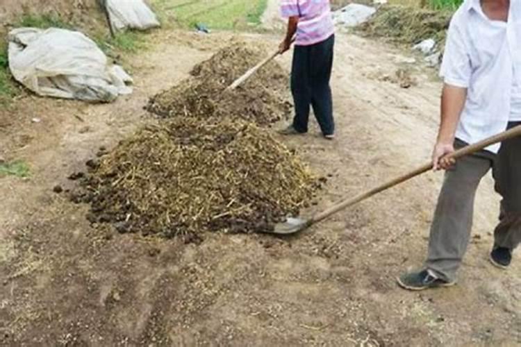 茶叶底肥放什么肥好(底肥施用方法)