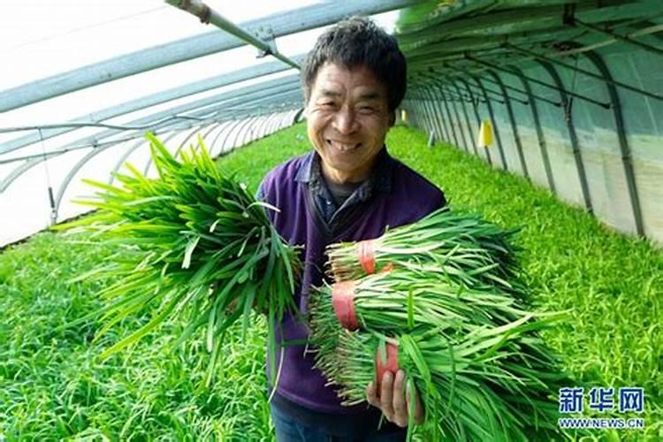 在咱们家里,什么东西算是氮肥呀