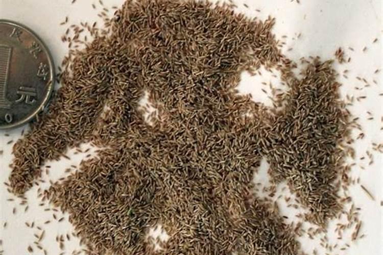 磷酸二氢钾怎么用？瓜果蔬菜各有不同,掌握方法和技巧事半功倍!百度知...