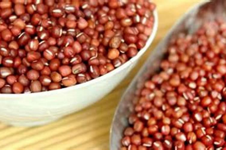 红小豆什么时候种