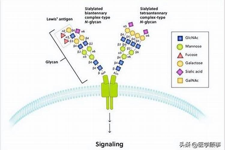 黄瓜病毒病用什么药防治？