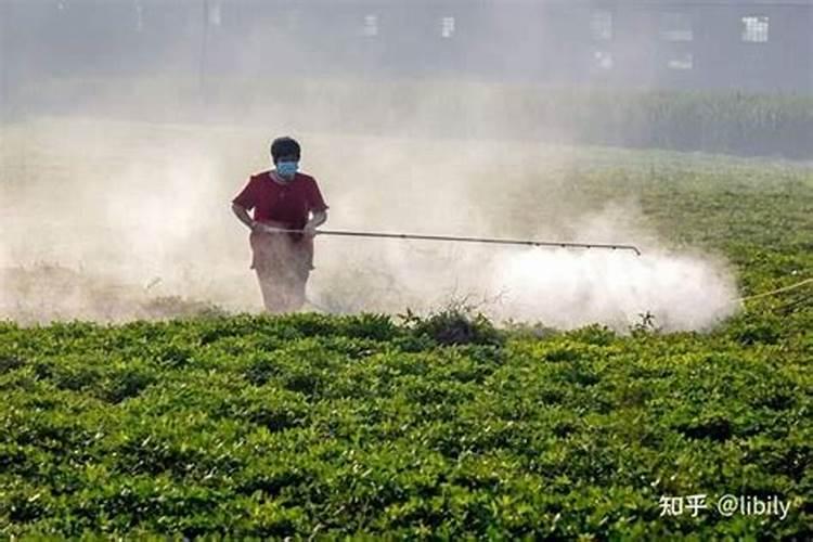 叶面肥能和除草剂一起用吗