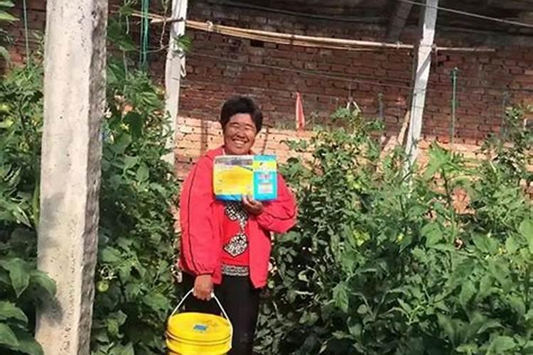 养鱼贴士·说说鱼缸里的微观世界