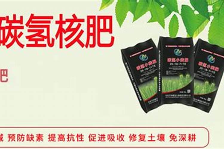 什么植物冬天不能浇水(冬天养护植物攻略,哪些植物冬天不能浇水？)