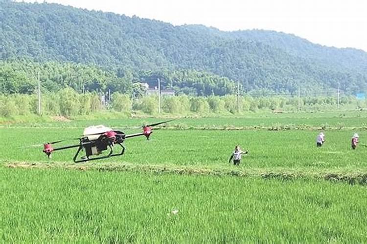 中药材专用肥,什么时候喷比较好？哪里有卖？中药材叶面肥用“昆仑风”