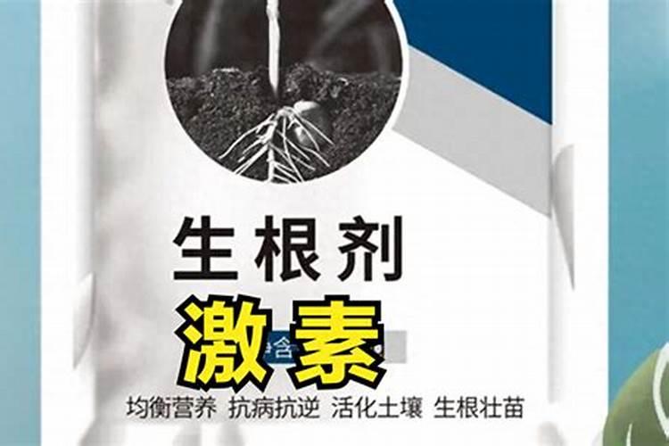 动物生长激素和植物生长素各自的化学本质是什么？怎么区分？
