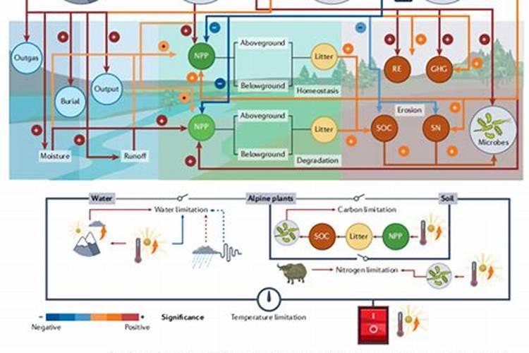 螯合高氮肥一亩地用多少亳升