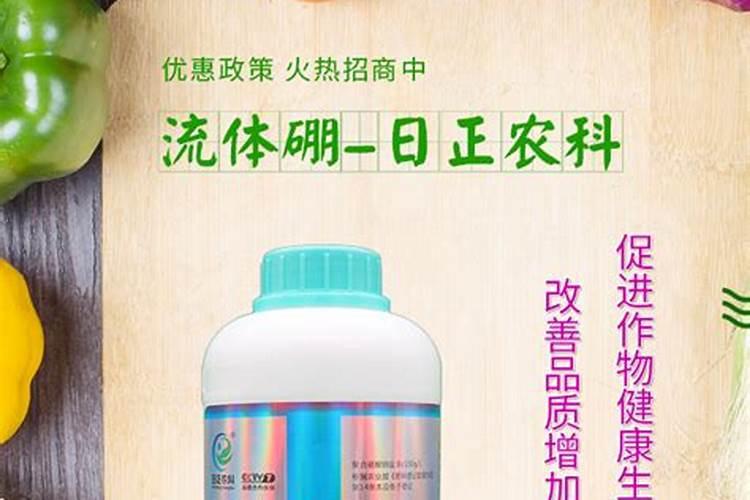 柿子树苗上什么肥料最好