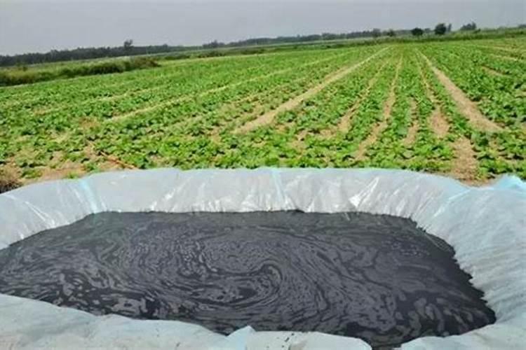 液态底肥相较传统底肥优缺点