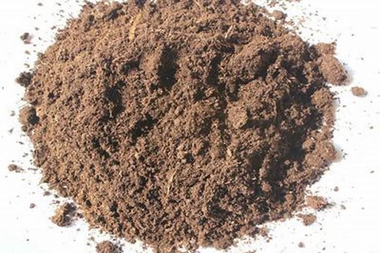 有机肥营养土怎么配制