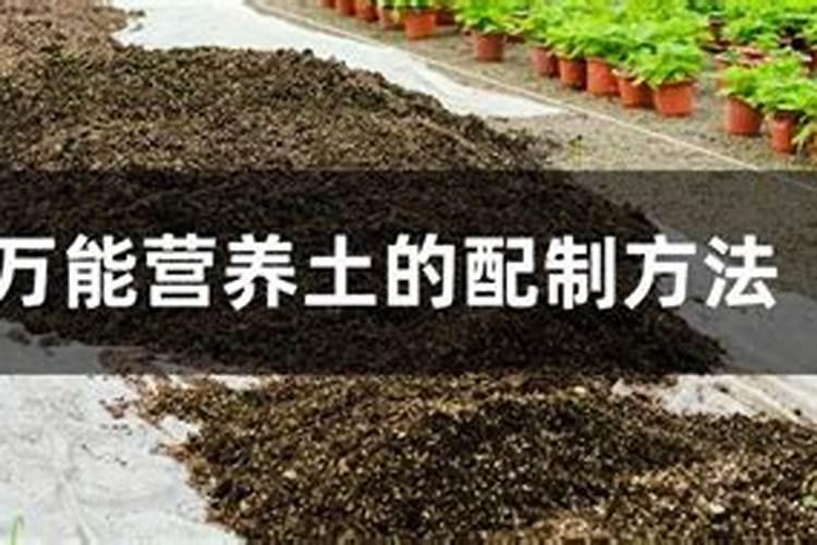 营养土的配方？
