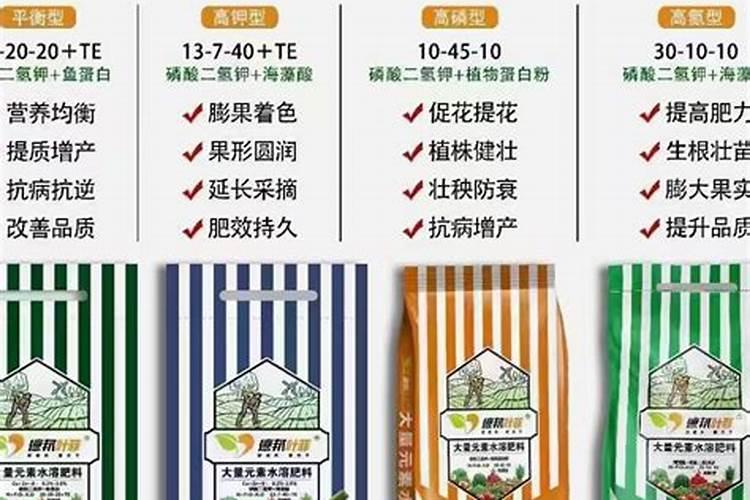 什么叫沙参什么叫泡参