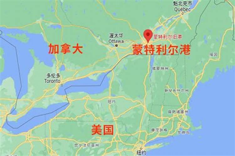 水稻喷了赤霉素后期叶片黄叶怎么办