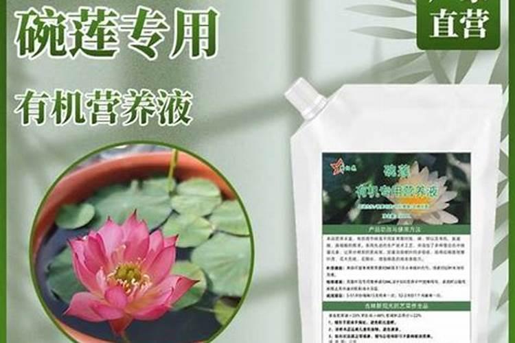 剩菜剩饭,发霉后。可以做菜地的肥料吗？