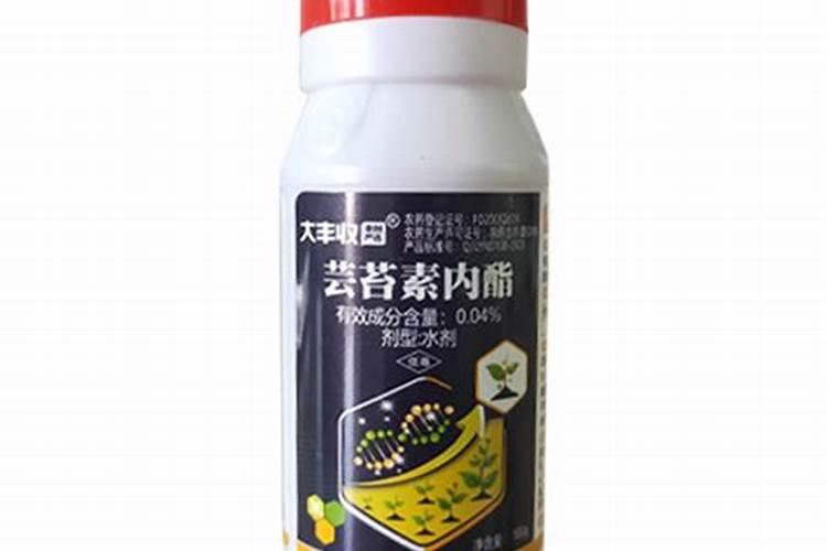 如何保果稳果,才能让你的柑橘又大又甜？