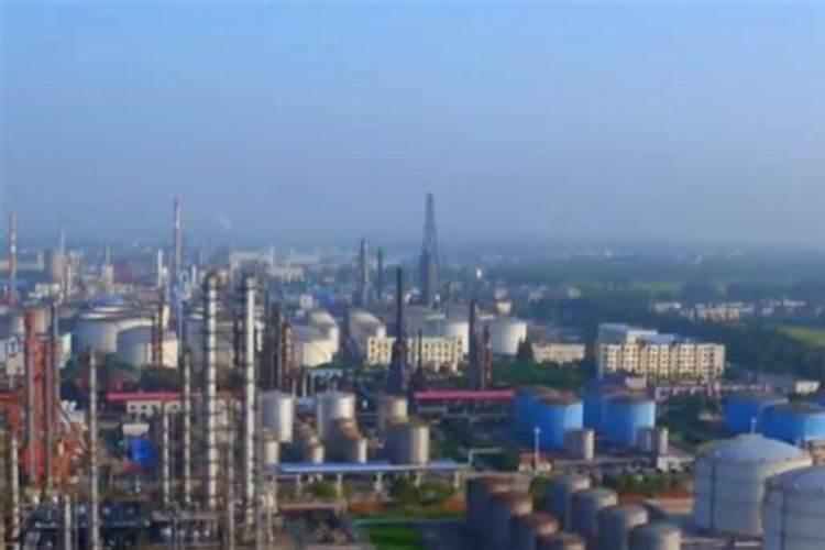 西瓜有哪些种类