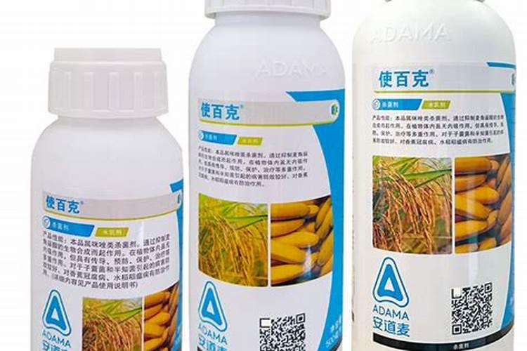 香蕉黄叶病的解决办法