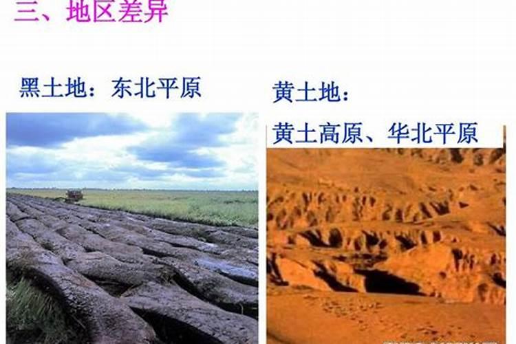 氮钾追肥玉米地用量