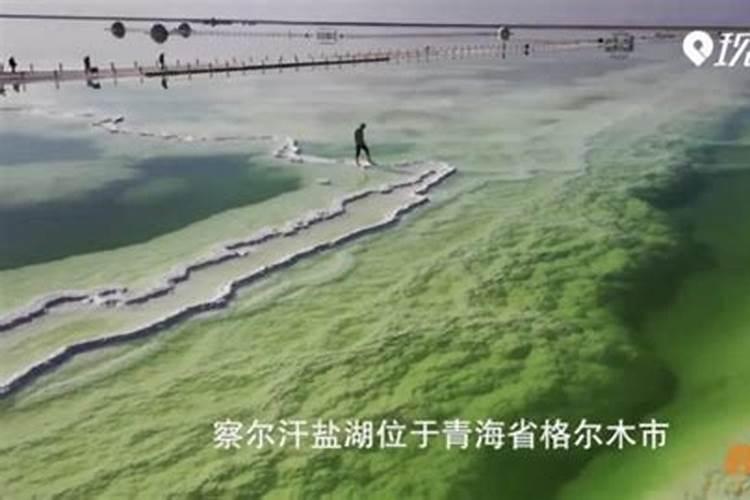 [399005]柴达木盆地“钾”冠天下 世界级盐湖产业基地初具雏形