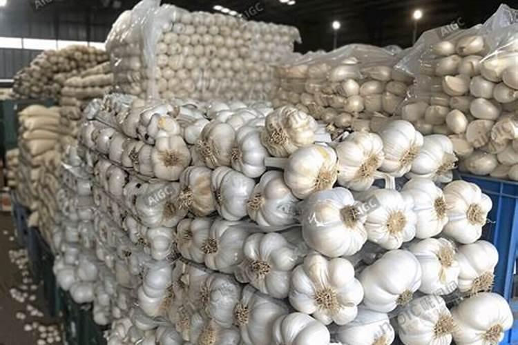 大蒜专用肥料产品介绍