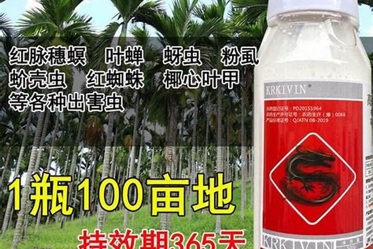 槟榔底肥如何施肥最好呢？