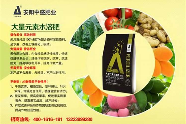 钙肥是什么肥料