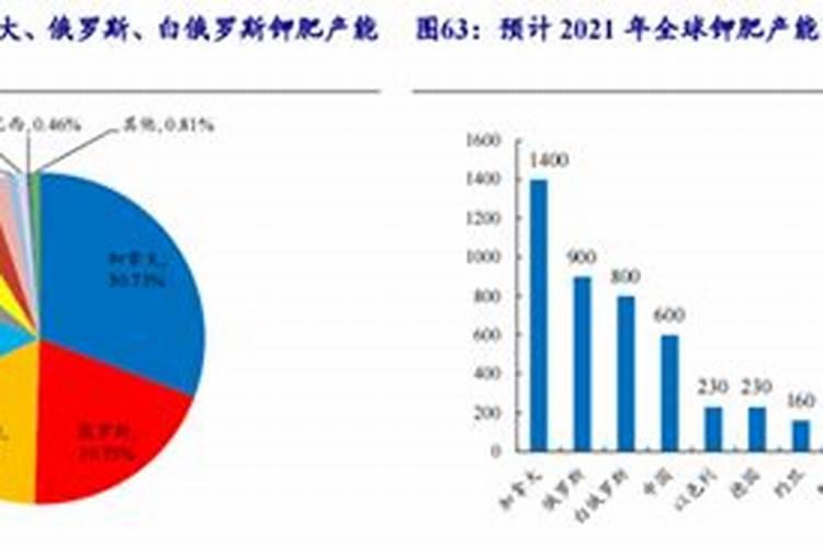 钾肥的主要产出国是哪？