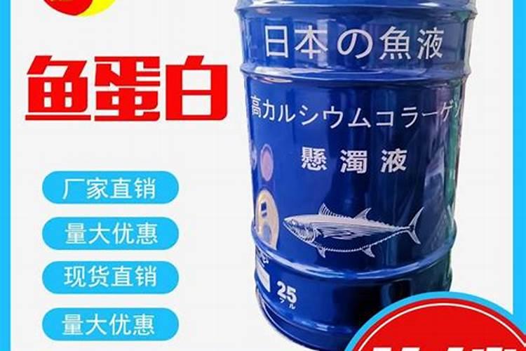 鲤鱼的蛋白质含量如何？