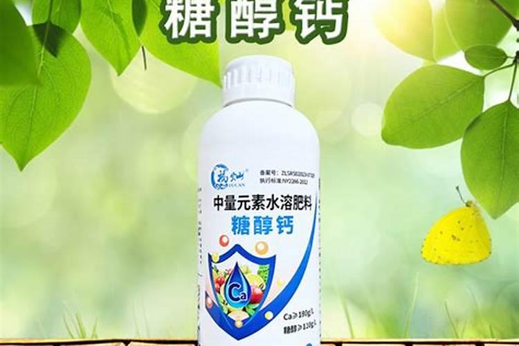 怎样才能让禾苗长得更好？