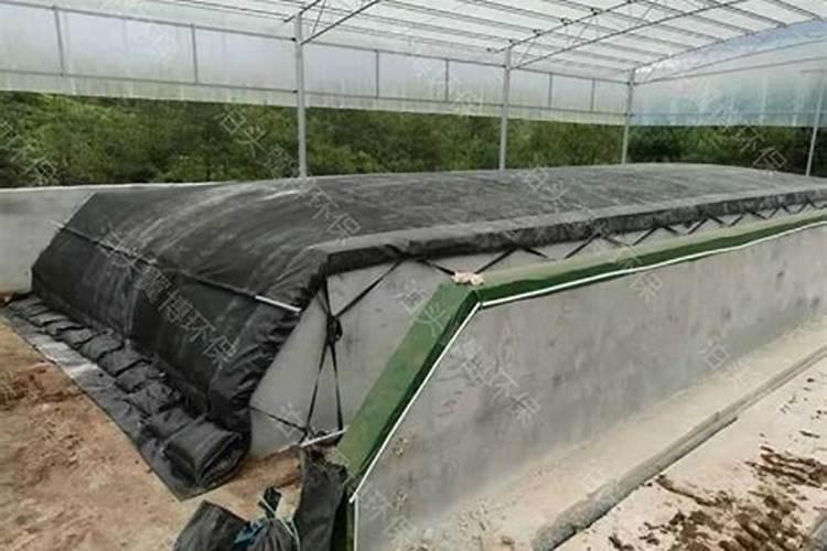 鸡粪发酵分子膜技术？一看便知!