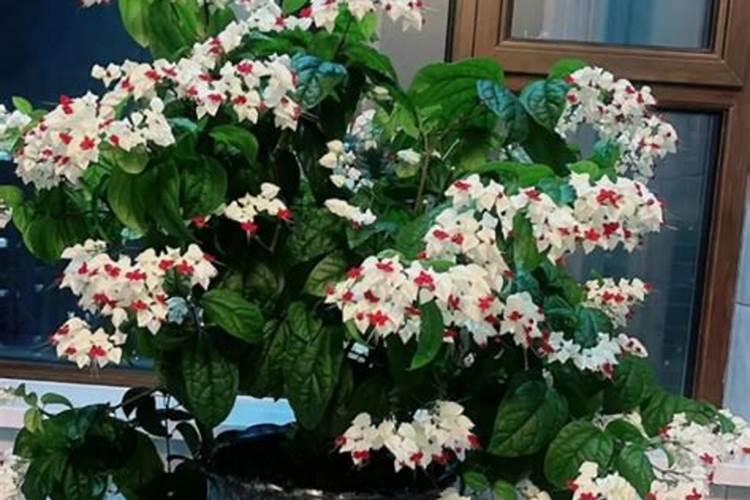 铵态氮肥不能与碱性物质混合施用的原因是什么？