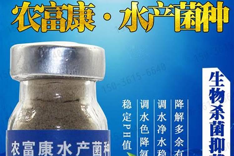 瓜子黄杨苗怎么施肥