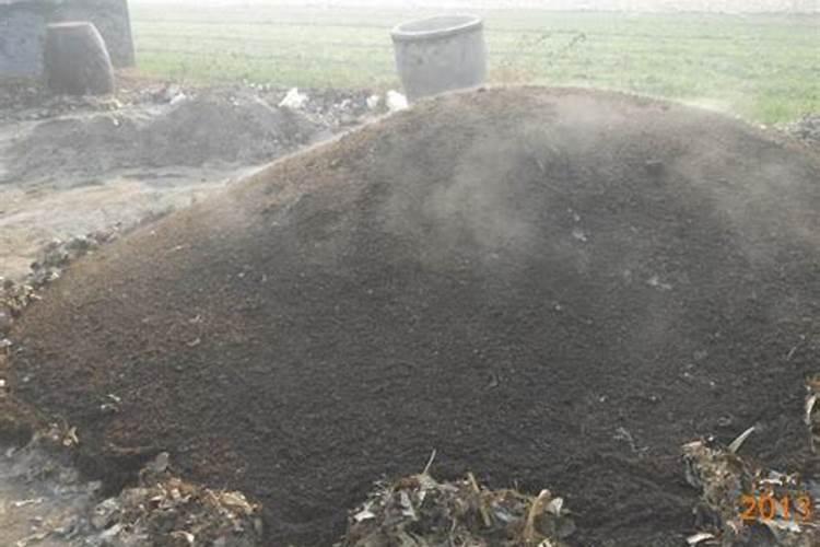 月季最好的肥料是什么？