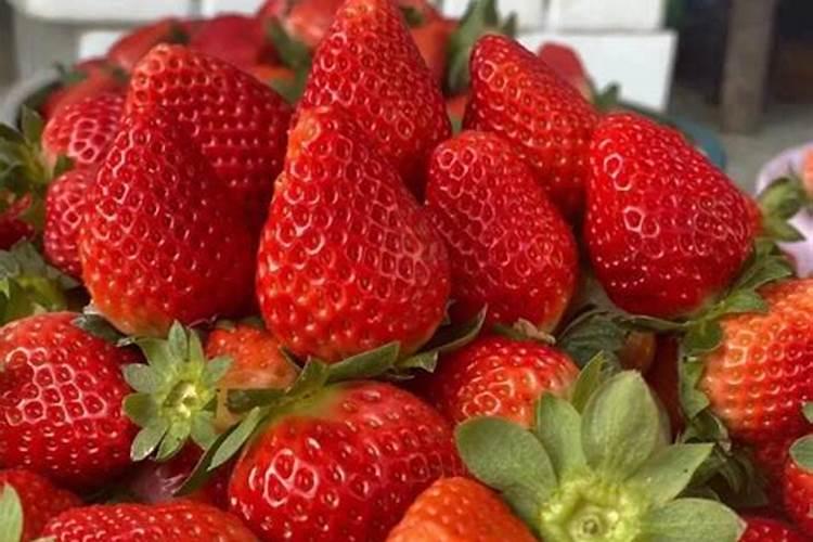 草莓地没法冲施肥,地太湿了!不容易干,可以喷哪些叶面肥？