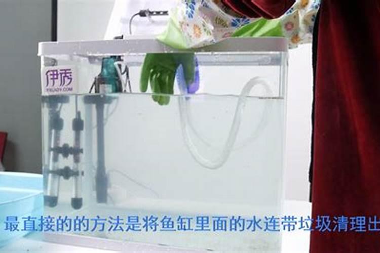 黑魔减脂胶囊有用吗