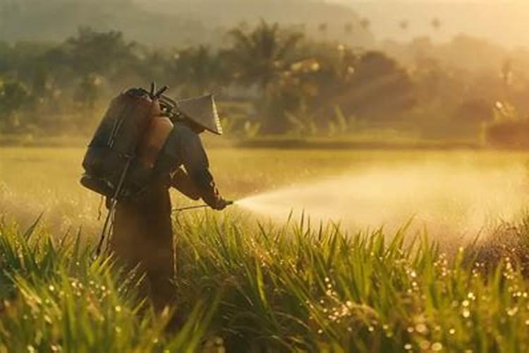 水溶肥怎么用效果更好？