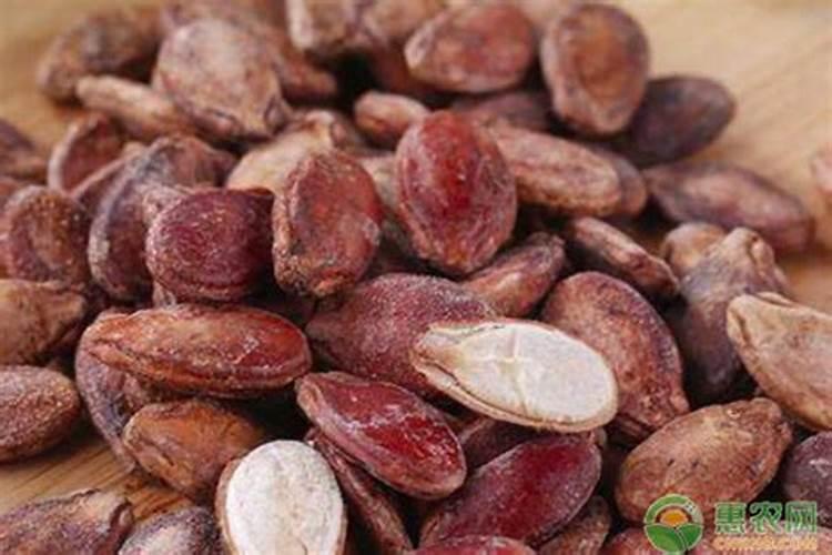 对兰用什么肥料