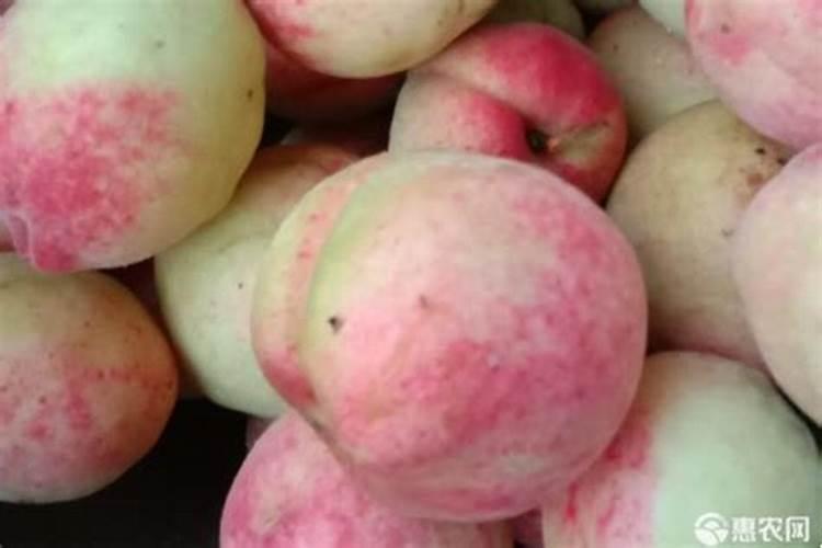 桃子增产用哪个叶面肥？桃子用什么叶面肥比较好？桃子喷施金泰靓...