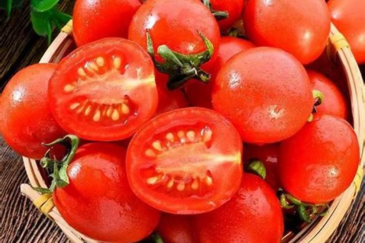 老师们西红柿底肥怎样配比较好呢!