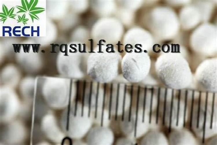 蓝莓怎样施肥施什么肥