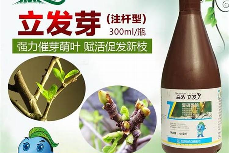 西红柿生根壮苗用什么肥料好？大棚西红柿育苗期种植管理如何做百度知 ...