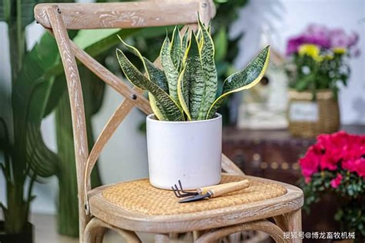 矿源黄腐酸钾哪个厂家的品牌好