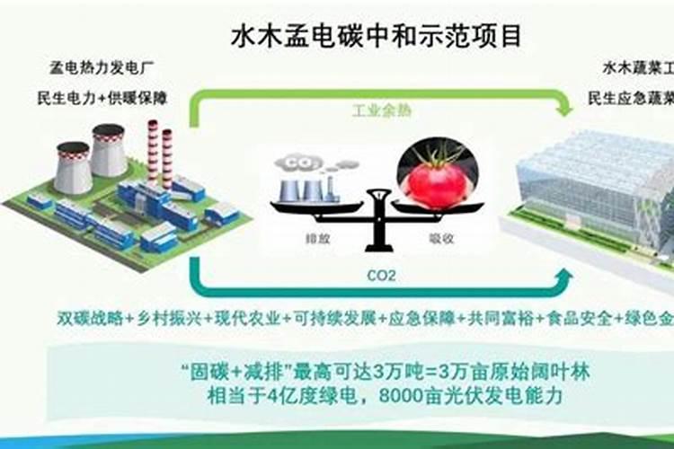 矿物质炭基肥到底是什么肥